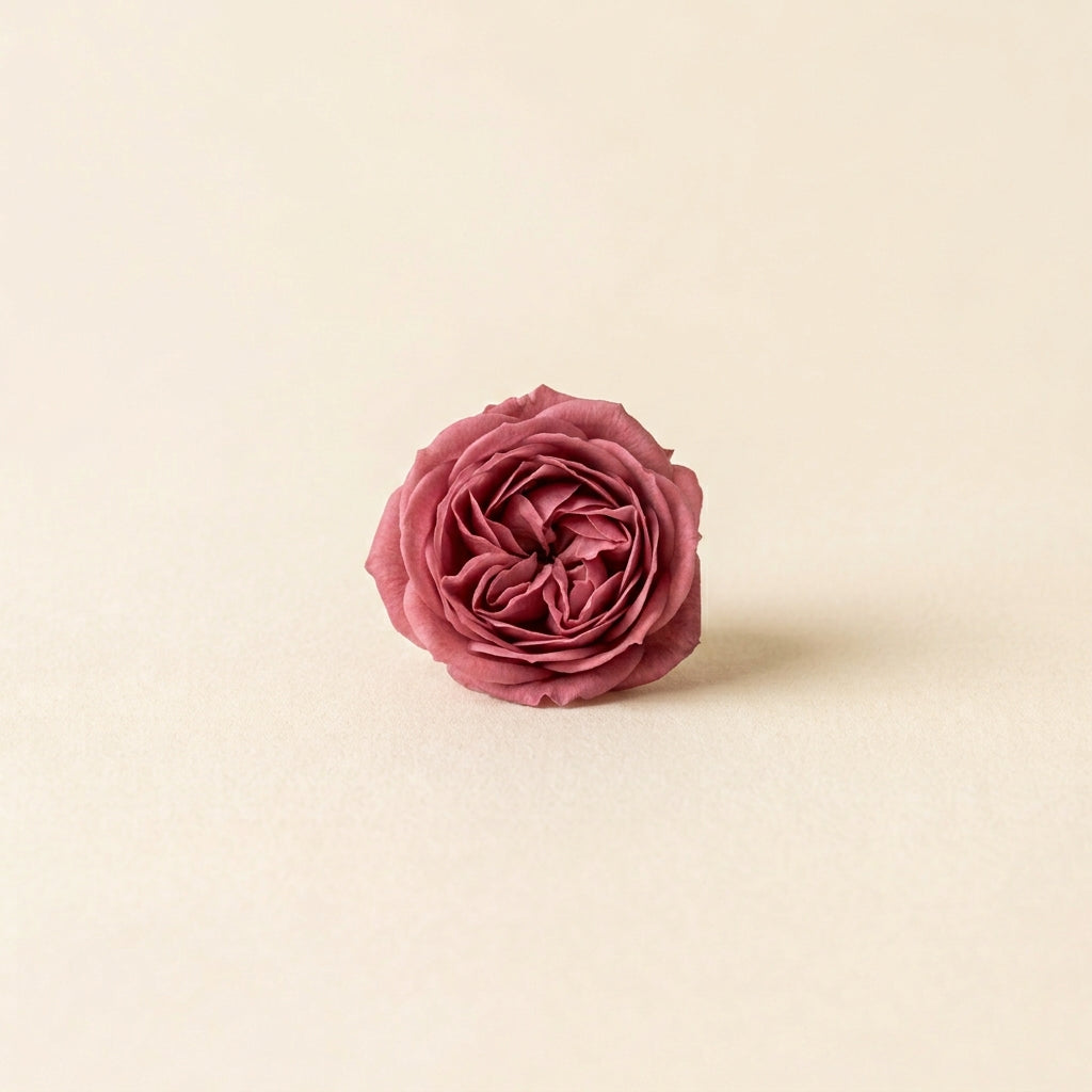 Rose Otto — Turkish (Anatolian) — Ambre Royale