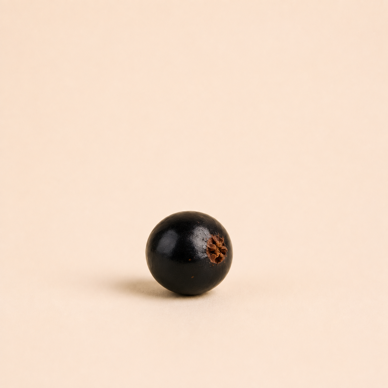Blackcurrant Bud Absolute (Cassis) — Ambre Royale