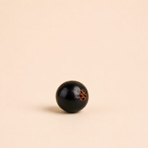 Blackcurrant Bud Absolute (Cassis) — Ambre Royale