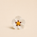Cistus / Ciste Épuré Absolute 100% — Ambre Royale