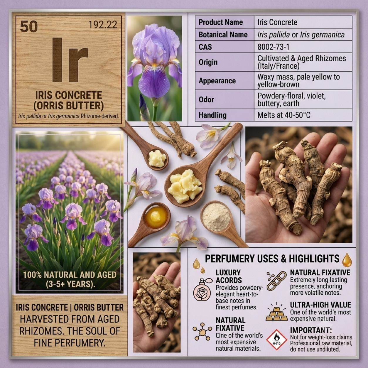 Iris-Concrete (Orris-Butter) - Iris pallida / Iris germanica