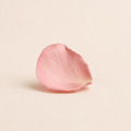 Rose Oil — Type Taïf — Ambre Royale